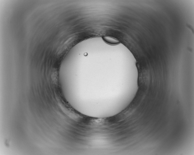 X0000102310092200808152052