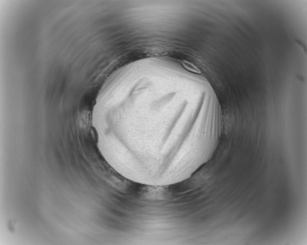 X0000102310093200808152052