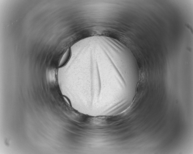 X0000102310094200808152052