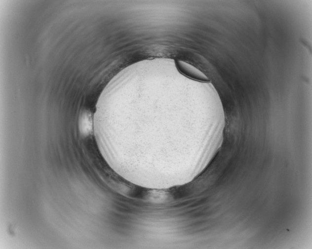 X0000102310095200808152052