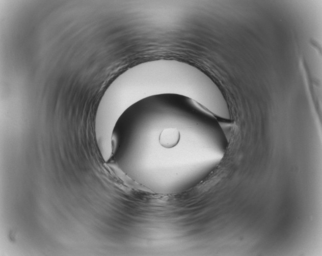 X0000102310096200808152052