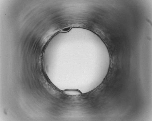 X0000102310098200808152051
