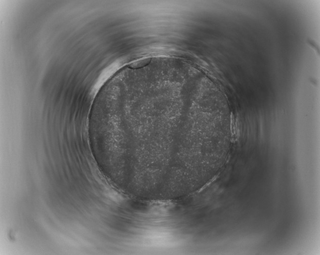 X0000102310099200808152051
