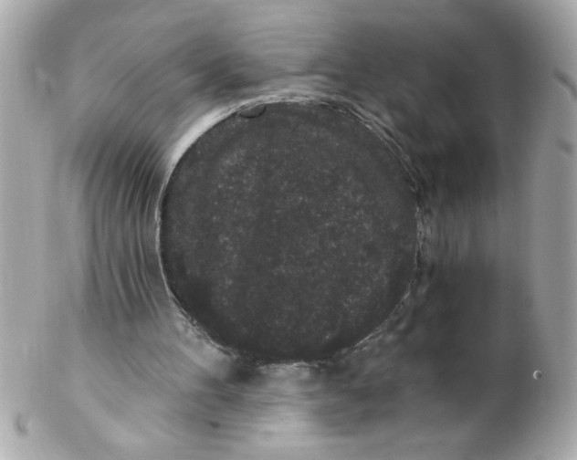 X0000102310100200808152051