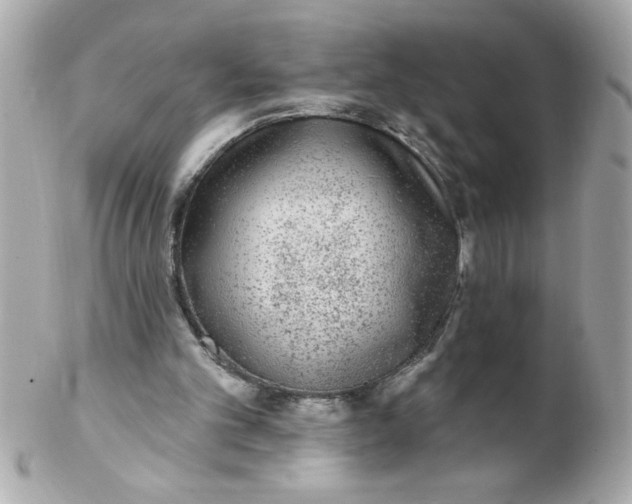 X0000102310101200808152051
