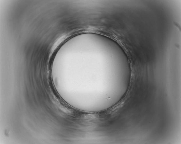 X0000102310102200808152051