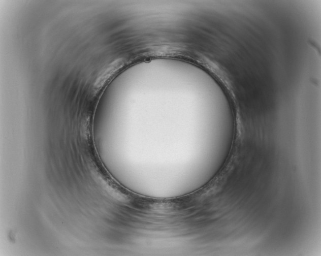 X0000102310105200808152051