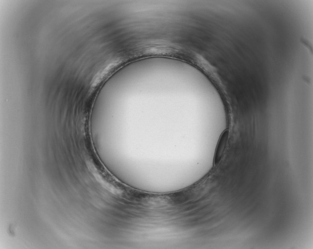 X0000102310106200808152051