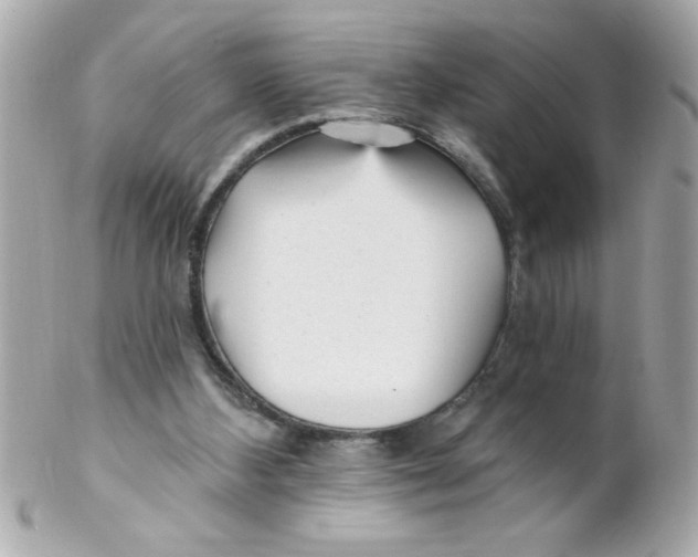 X0000102310108200808152051