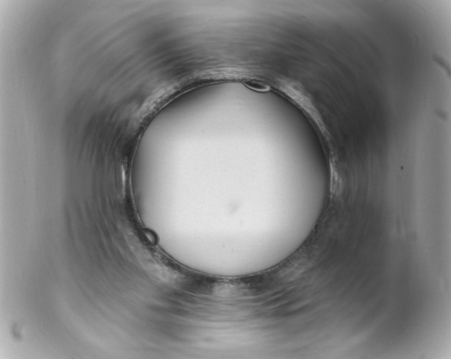 X0000102310109200808152051