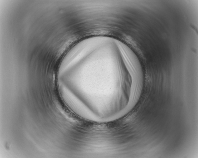 X0000102310110200808152051