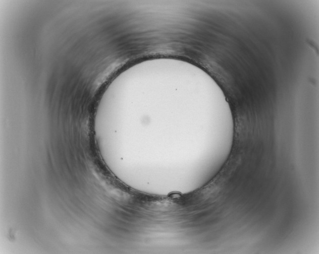X0000102310112200808152051
