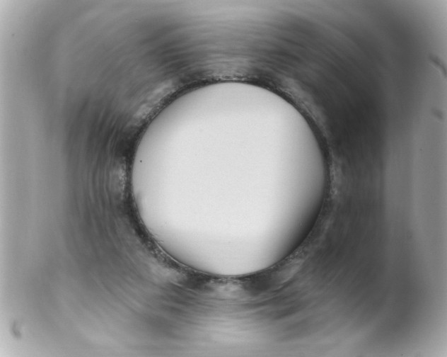 X0000102310113200808152051