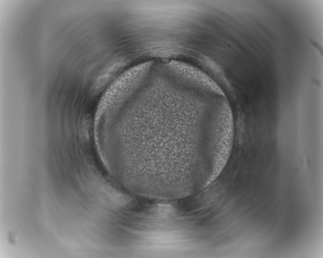 X0000102310114200808152051