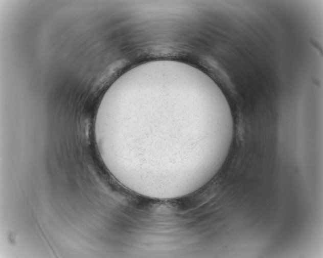 X0000102310115200808152051