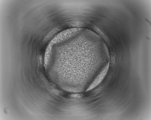 X0000102310117200808152051