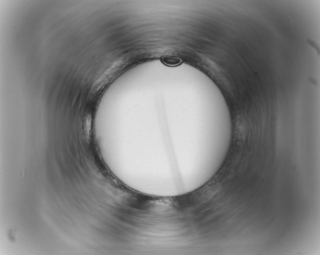 X0000102310118200808152051