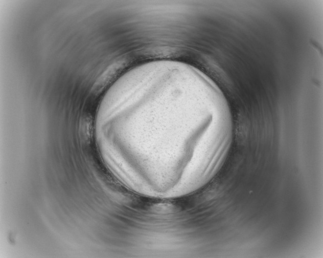 X0000102310119200808152051