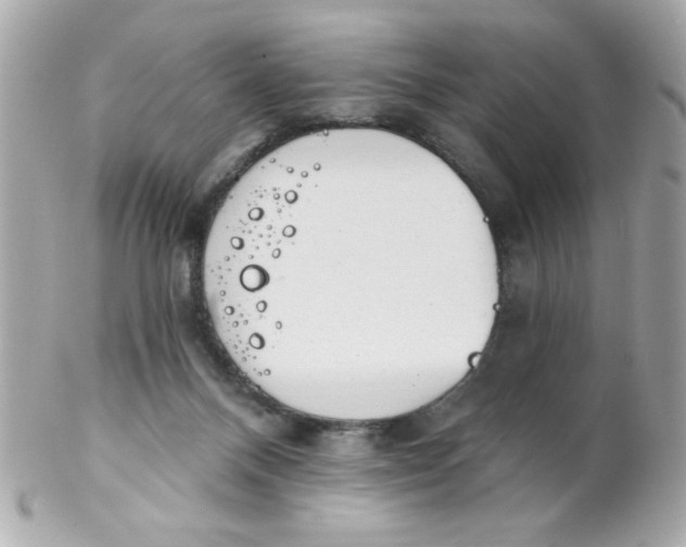 X0000102310120200808152051