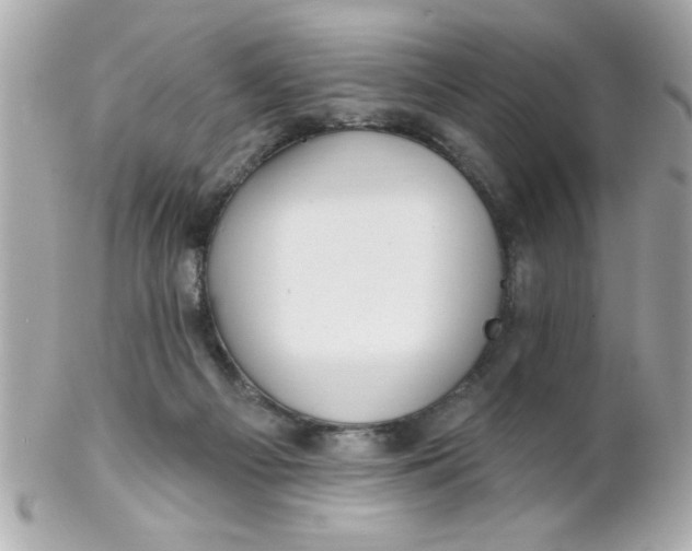 X0000102310121200808152051
