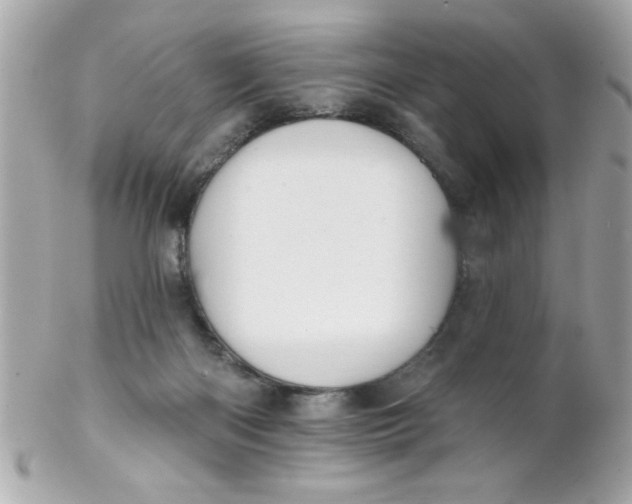 X0000102310122200808152051