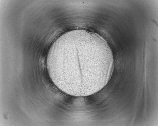 X0000102310123200808152051