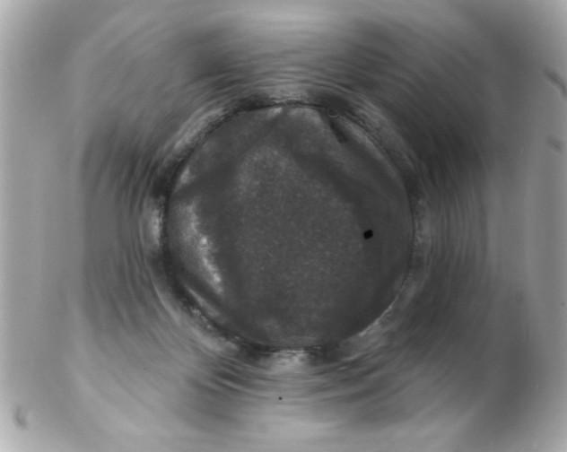 X0000102310124200808152051