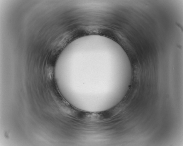 X0000102310125200808152051