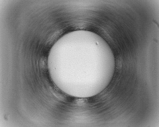 X0000102310126200808152051
