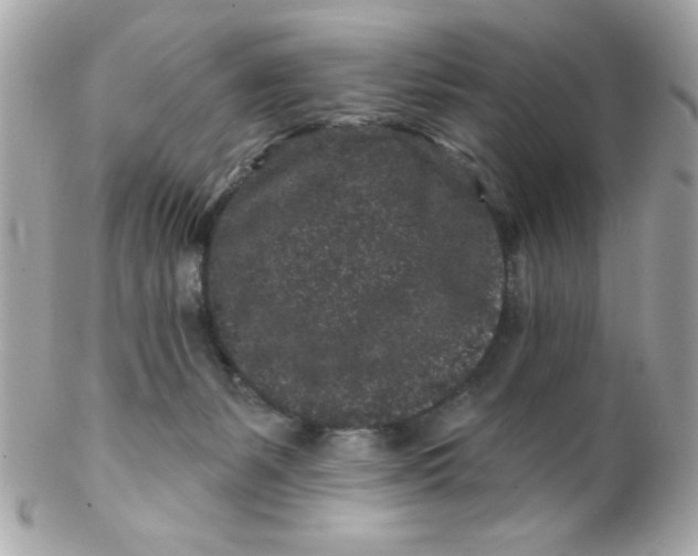 X0000102310127200808152051