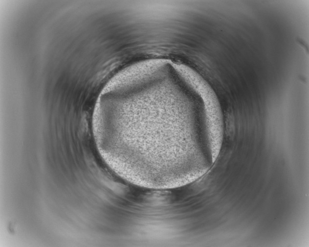 X0000102310128200808152051