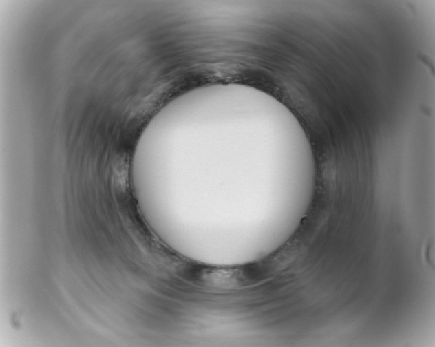 X0000102310129200808152051
