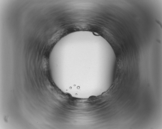 X0000102310132200808152051