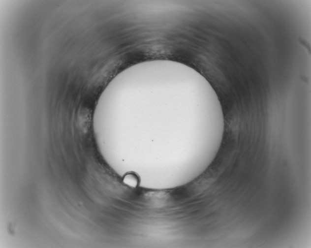 X0000102310133200808152051