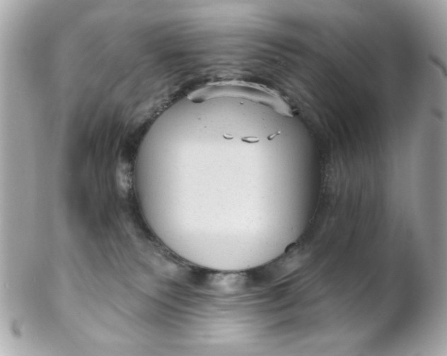 X0000102310135200808152051