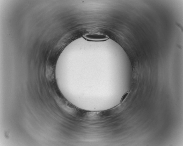 X0000102310136200808152051