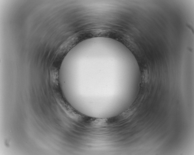 X0000102310138200808152051