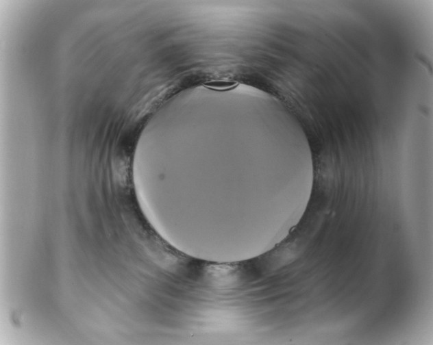 X0000102310139200808152051