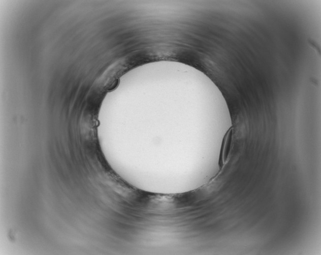 X0000102310140200808152051