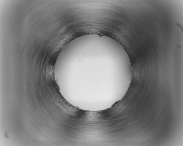 X0000102310141200808152051