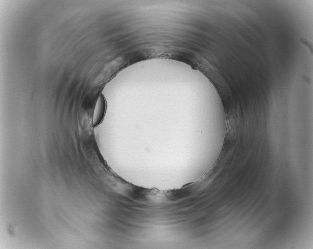 X0000102310142200808152051