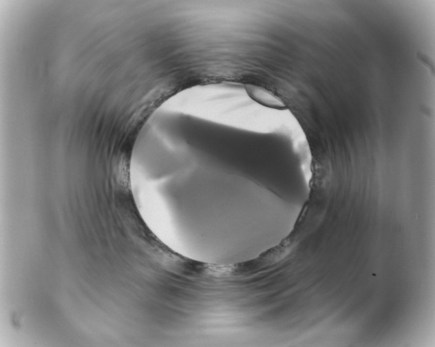 X0000102310143200808152050