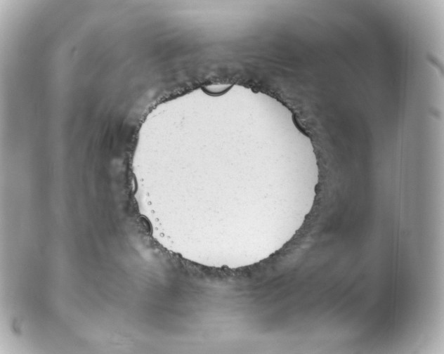 X0000102310144200808152050