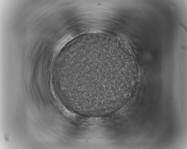 X0000102310145200808152050