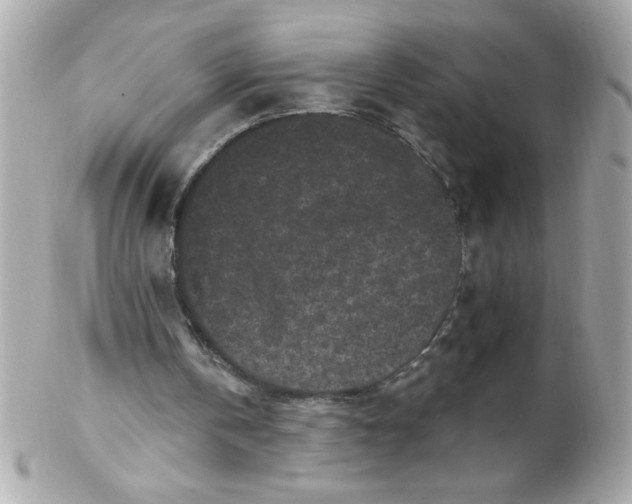 X0000102310146200808152050