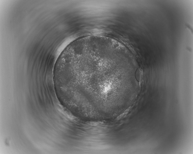 X0000102310147200808152050