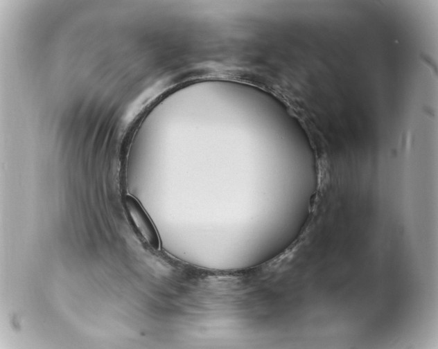 X0000102310150200808152050