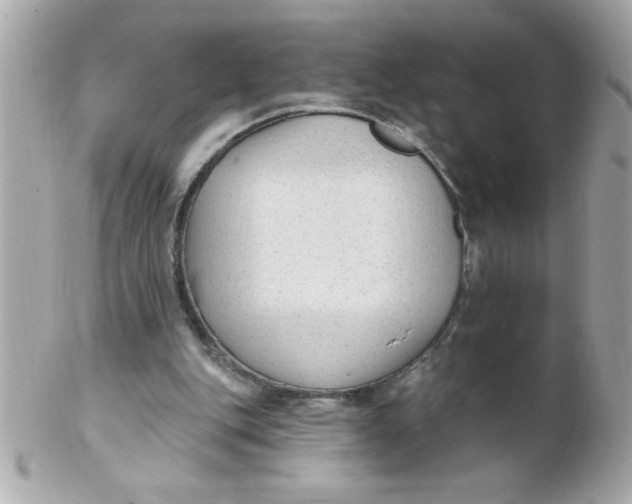 X0000102310151200808152050