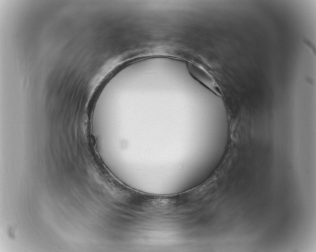 X0000102310152200808152050