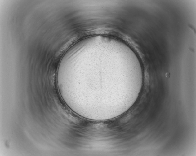 X0000102310153200808152050